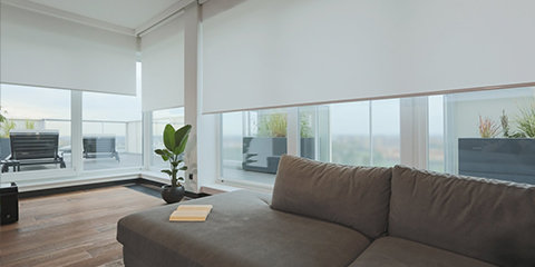 Rollos und Doppelrollos